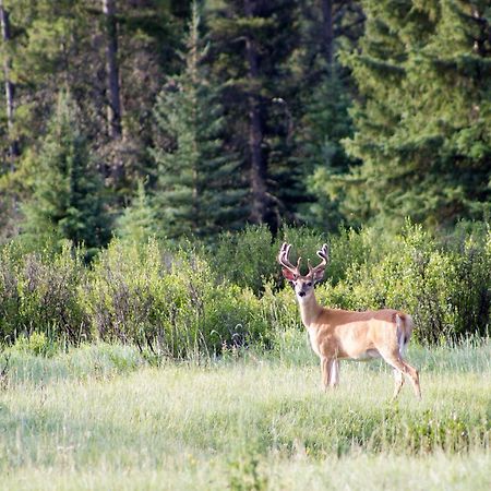 Rock Lake Lodge Rock Lake Lodge Provincial Park Екстер'єр фото