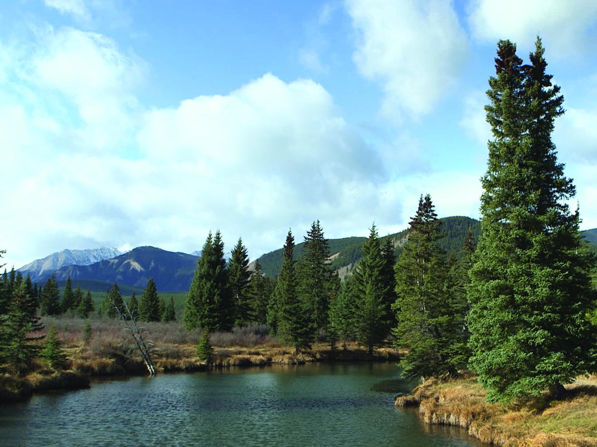 Rock Lake Lodge Rock Lake Lodge Provincial Park Екстер'єр фото