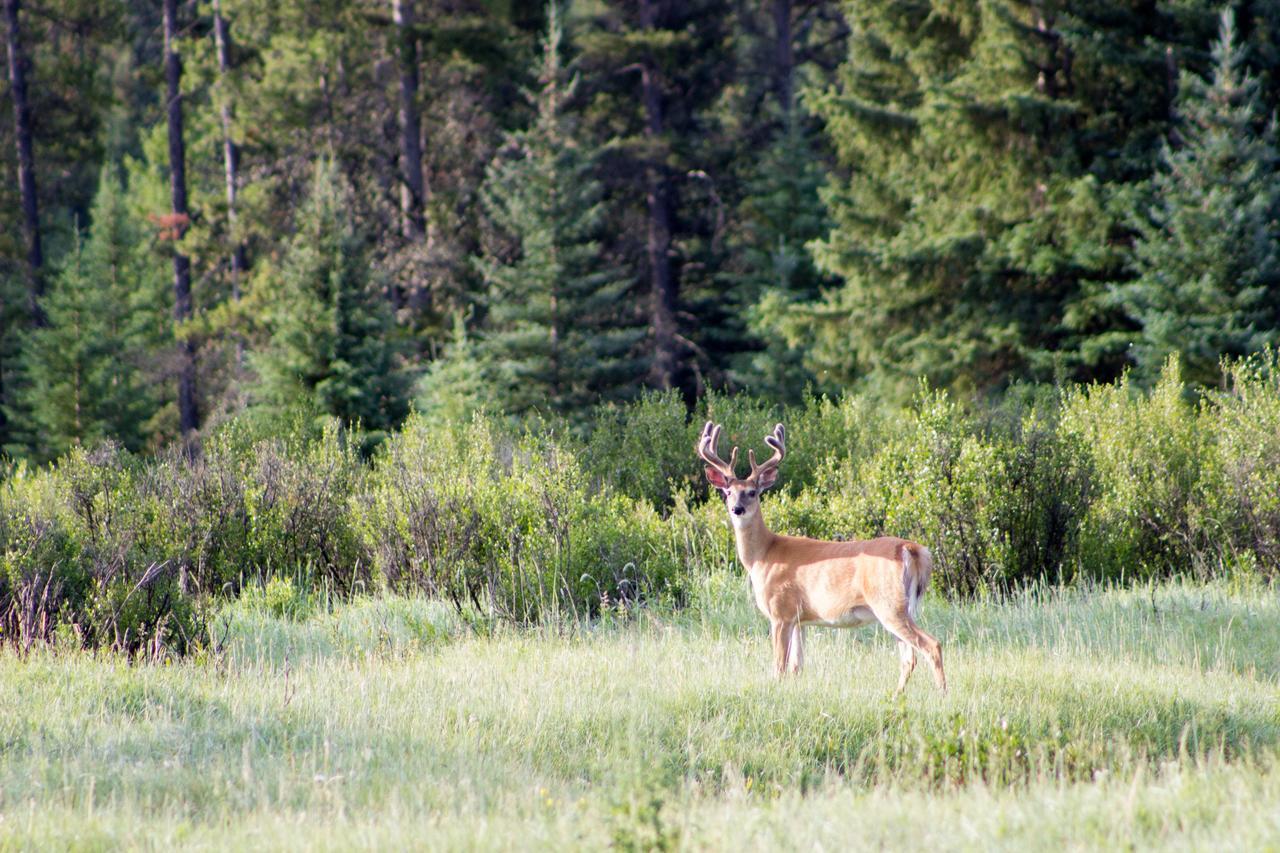 Rock Lake Lodge Rock Lake Lodge Provincial Park Екстер'єр фото